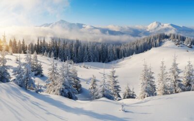 zima na českých horách, hotel management, hotel na prodej, odhad tržní ceny, strategie