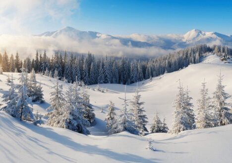 zima na českých horách, hotel management, hotel na prodej, odhad tržní ceny, strategie